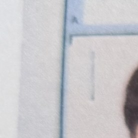 Ghislaine Maxwell invoca la Quinta Enmienda y ofrece testificar si Trump le concede un indulto