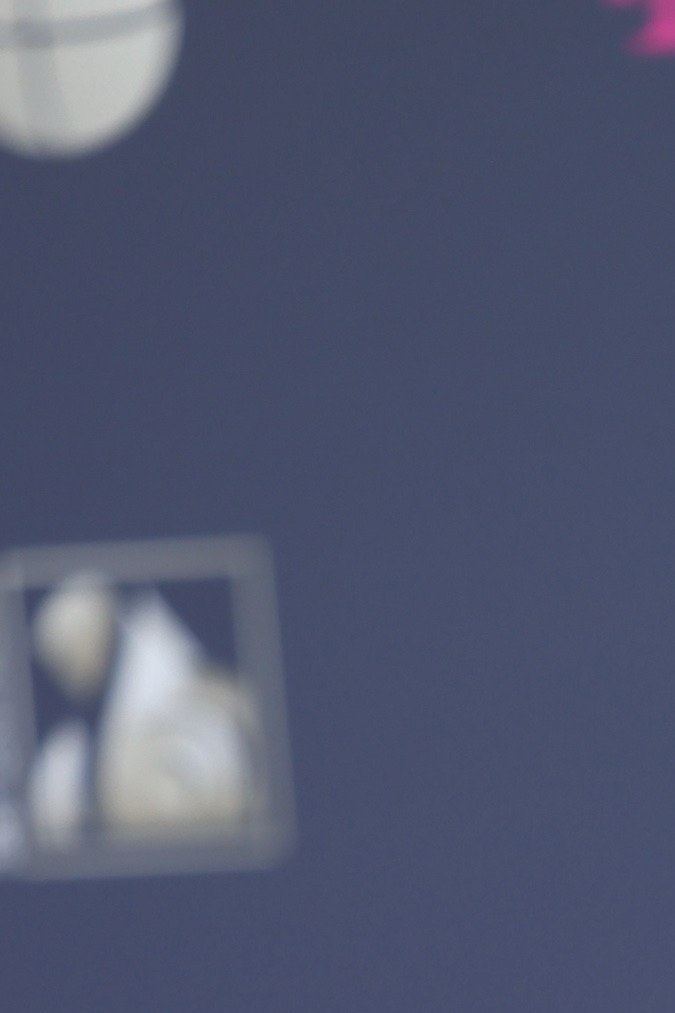 Gloria Trevi, cantante mexicana.