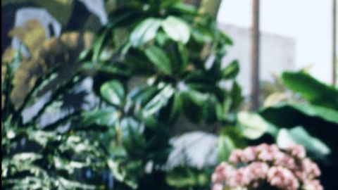 La serie 'Golden Girls' fue emitida desde 1985 hasta 1992.