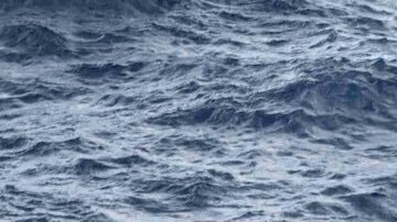 Han sido identificado alrededor de 16 tanqueros sancionados.