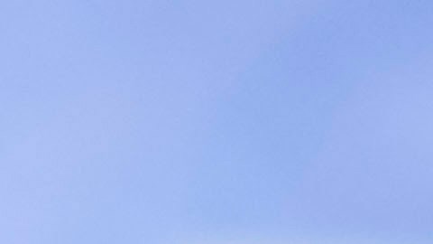 Hulk Hogan murió el 24 de julio del año pasado.