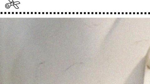 Organizaciones puertorriqueñas en la diásporan celebran el Benito Bowl