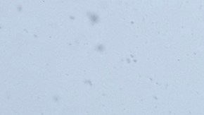La alerta por la nevada en la Costa Este será al menos hasta el mediodía.