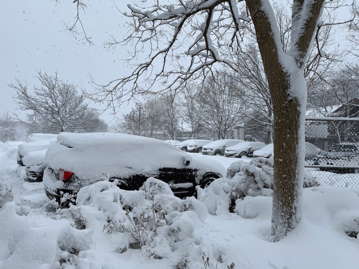 Tormenta de nieve impacta Nueva York, Nueva Jersey y otros estados: FEMA en alerta