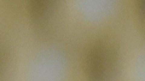 La jugadora dejará la Liga MX con los Tigres Femenil.