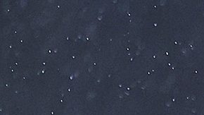 El futbolista podría ser convocado por la selección de México.