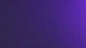 Mazatlán, Sinaloa, 6 de febrero de 2025. Jugadores de Chivas en festejo de gol, durante el partido correspondiente a la jornada 5 del torneo Clausura 2026 de la Liga BBVA MX, entre los Cañoneros del Mazatlán FC y las Chivas Rayadas del Guadalajara, realizado en el estadio El Encanto. Foto: Imago7/ Juan Carlos Cubeyro.