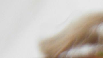 Primer plano de cáscaras de mandarina frescas, canela en rama y granos de pimienta para reciclaje orgánico.