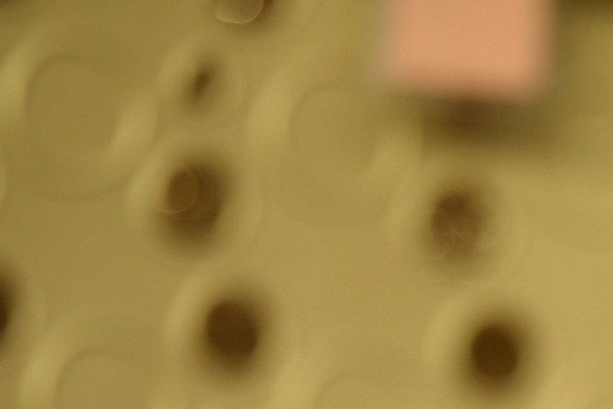 James Van Der Beek fue diagnosticado con cáncer en 2023.