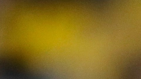 Reverendo Jesse Jackson