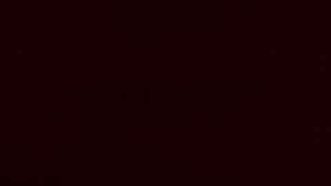 Jim Carrey recibió el premio César Honorífico