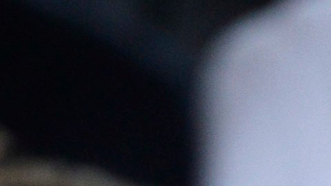 La demanda contra Julio Iglesias fue archivada por la Fiscalía de España.