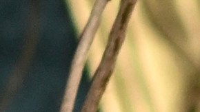 Justin Baldoni hizo reformas en esta propiedad durante los años que fue propietario.