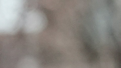 Kilmar Abrego Garcia