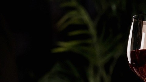 Las cenas románticas son uno de los festejos más comunes para San Valentín.