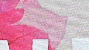 Laura Zapata, actriz mexicana, habla de La Casa de los Famosos 6.