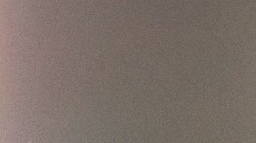 La ciencia culinaria demuestra que los champiñones solo absorben un 2-3% de agua, algo que desaparece rápido en la sartén. Lavarlos es clave para eliminar residuos del sustrato y garantizar tu seguridad alimentaria.