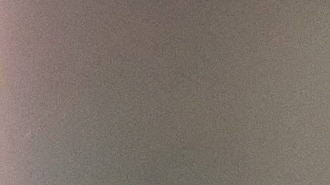 La ciencia culinaria demuestra que los champiñones solo absorben un 2-3% de agua, algo que desaparece rápido en la sartén. Lavarlos es clave para eliminar residuos del sustrato y garantizar tu seguridad alimentaria.