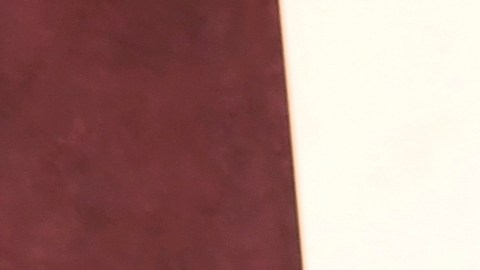 Vanessa Nadal y Lin-Manuel Miranda se casaron hace 15 años.