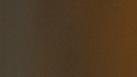 Lorde donó el dinero que recaudó con la venta de su merch en los conciertos que dio en Minneapolis el año pasado.