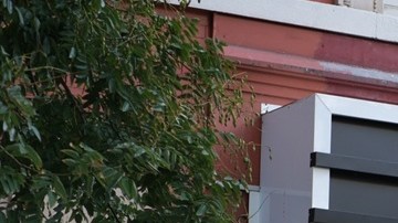 Los beneficiarios deben revisar su calendario estatal y planificar sus compras para aprovechar al máximo este recurso.