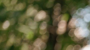 Los trabajos extra son una alternativa cada vez más utilizada para enfrentar el aumento del costo de vida.