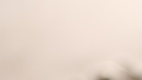 Mantener un bajo nivel de deuda, pagos puntuales y buen puntaje es la diferencia entre acceder a financiamiento favorable o enfrentar costos más altos.