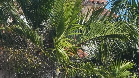 Estaba reportado como desaparecido: quién era el joven abatido tras irrumpir armado en Mar-a-Lago