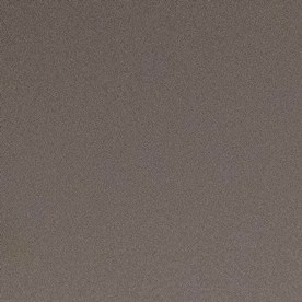 Maestra estadounidense baleada cinco veces por la Patrulla Fronteriza asistirá al discurso de Trump en el Congreso