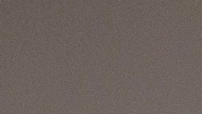 Maestra estadounidense baleada cinco veces por la Patrulla Fronteriza asistirá al discurso de Trump en el Congreso