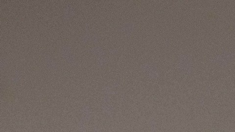 Maestra estadounidense baleada cinco veces por la Patrulla Fronteriza asistirá al discurso de Trump en el Congreso