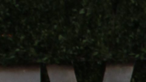 Katherine Short fue licenciada en Psicología y se dedicó al trabajo social.