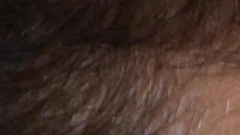 Miércoles de ceniza