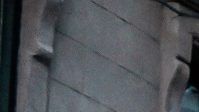 árbol caído tormenta invernal