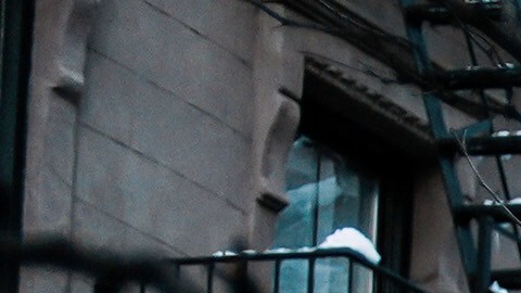 árbol caído tormenta invernal