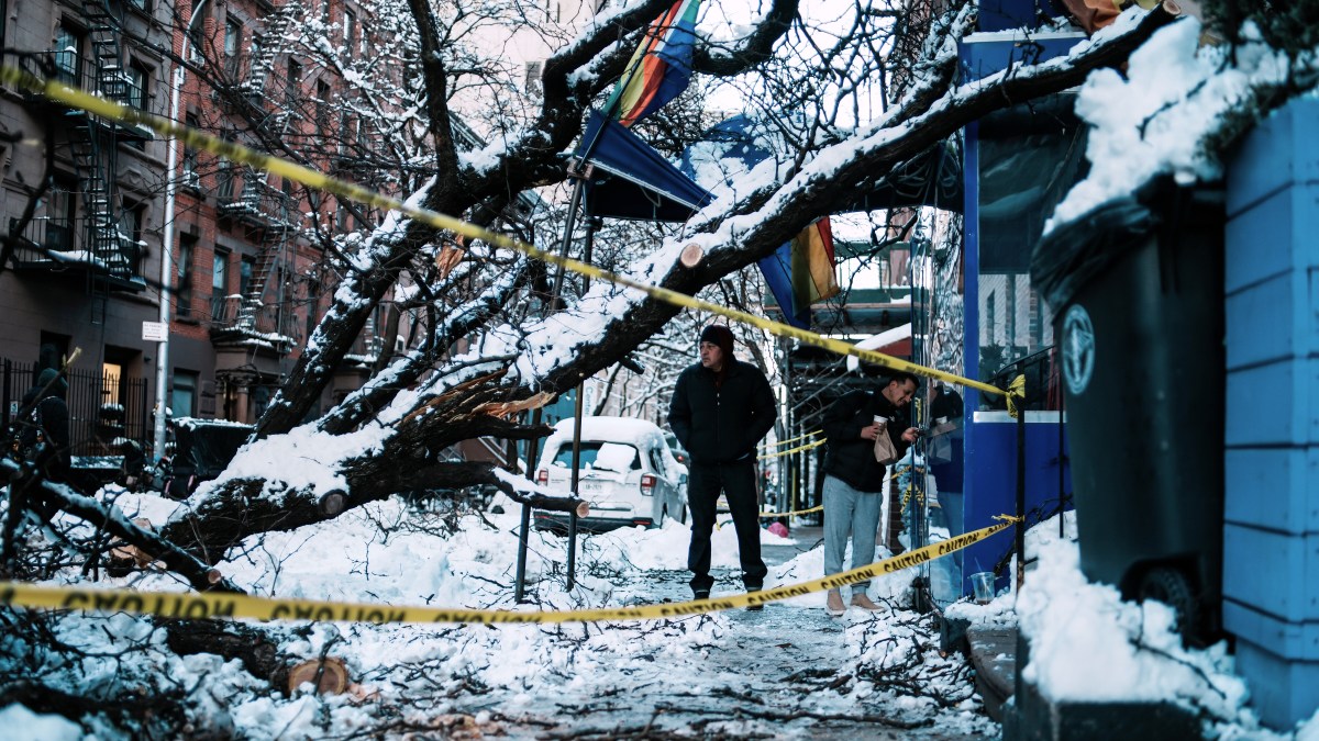 Monja salva a niño de árbol que cayó en Manhattan durante tormenta invernal