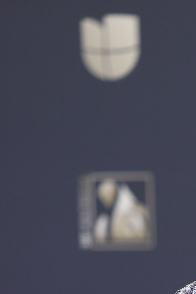 Nadia Ferreira, modelo paraguaya y esposa de Marc Anthony.