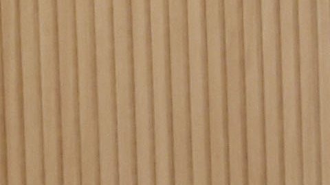 Obed Vargas, nuevo fichaje del Atlético de Madrid.