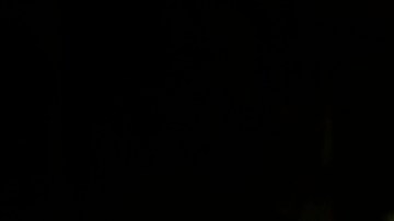 ¿Viajas en PATH? Estas son las alternativas ante los cierres desde el 27 de febrero