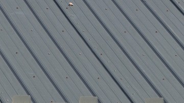 Papa John's cerrará cerca de 200 locales durante 2026, y recortará cerca del 7% de su plantilla corporativa.