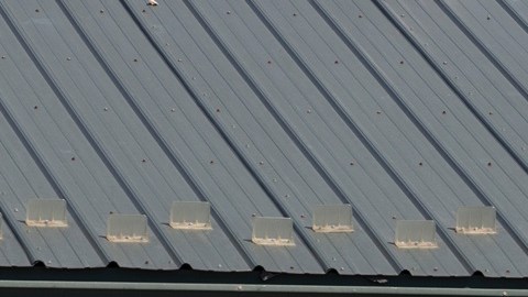 Papa John's cerrará cerca de 200 locales durante 2026, y recortará cerca del 7% de su plantilla corporativa.