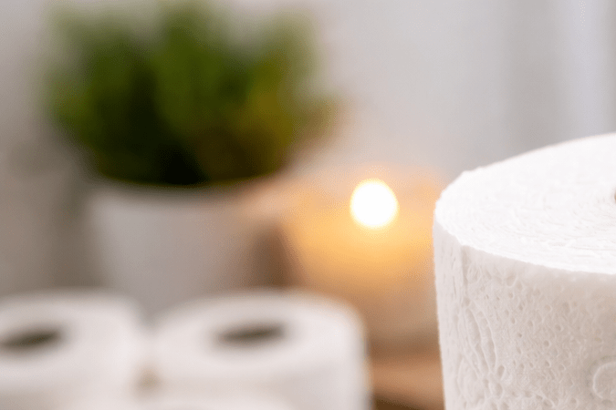 Gulungan kertas toilet lembut di kamar mandi modern di Amerika Serikat