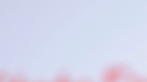 Paquita la del Barrio murió en febrero del 2025.