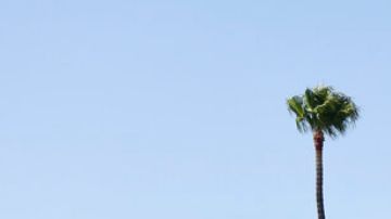 La operación cambia por completo el tamaño y las proyecciones del nuevo gigante audiovisual