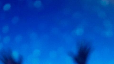 La artista cuestionó la difusión de versiones sin confirmar que afectan a su entorno familiar