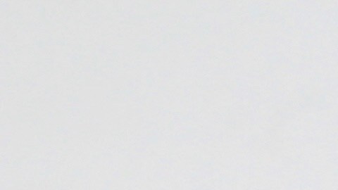 Infografía visual que muestra un modelo anatómico de un riñón rodeado de una bebida energética, té helado y leche vegetal, ilustrando los riesgos renales de los aditivos procesados.