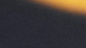 El presidente del SL Benfica, Rui Costa.