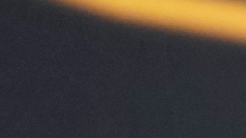 El presidente del SL Benfica, Rui Costa.