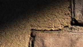 Renee Good y Alex Pretti