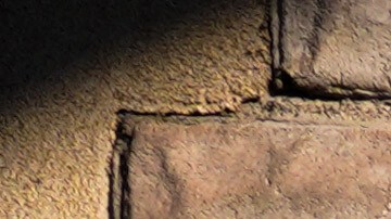 Renee Good y Alex Pretti